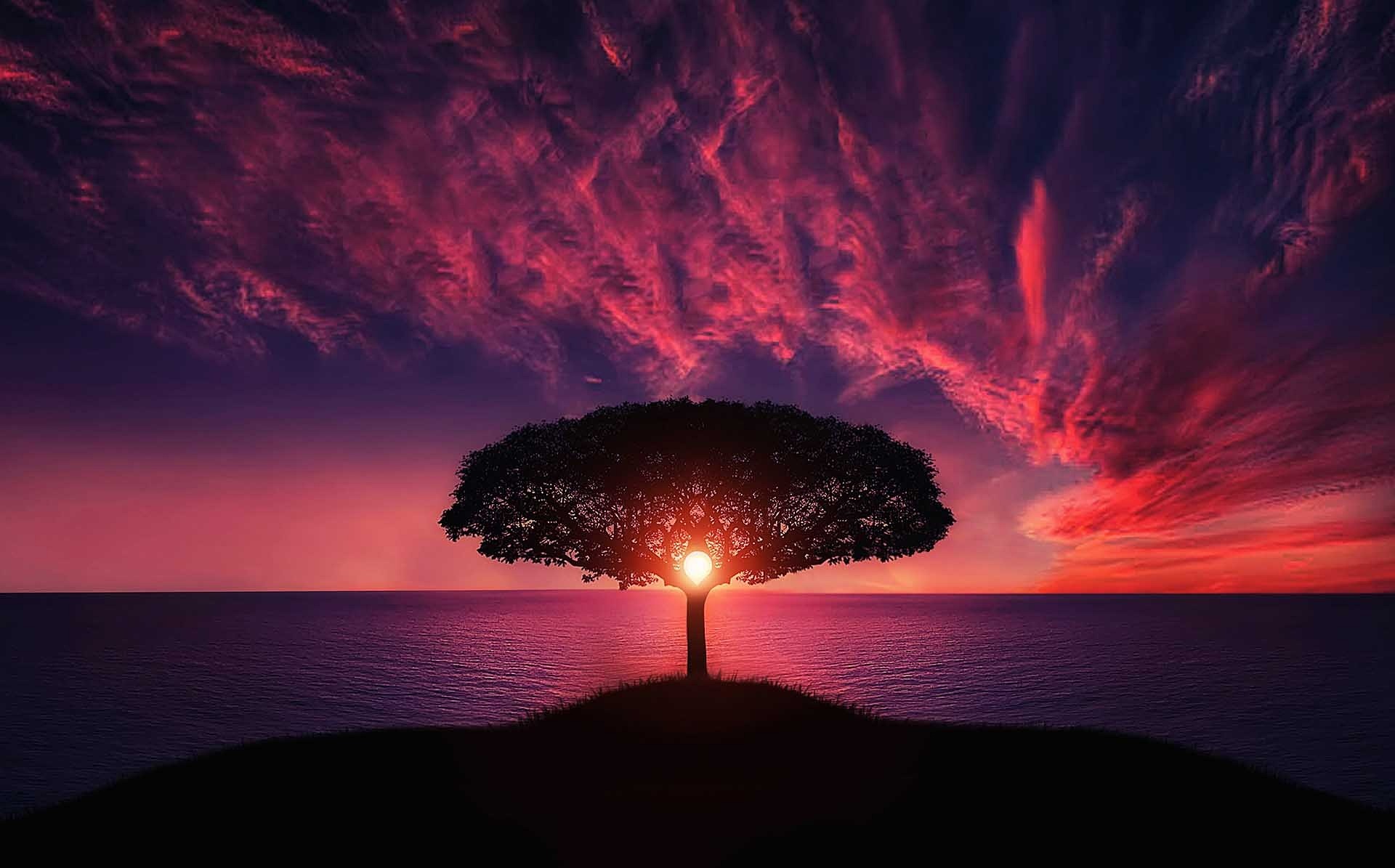 Roots 2 Wings Life Coaching, find your balance